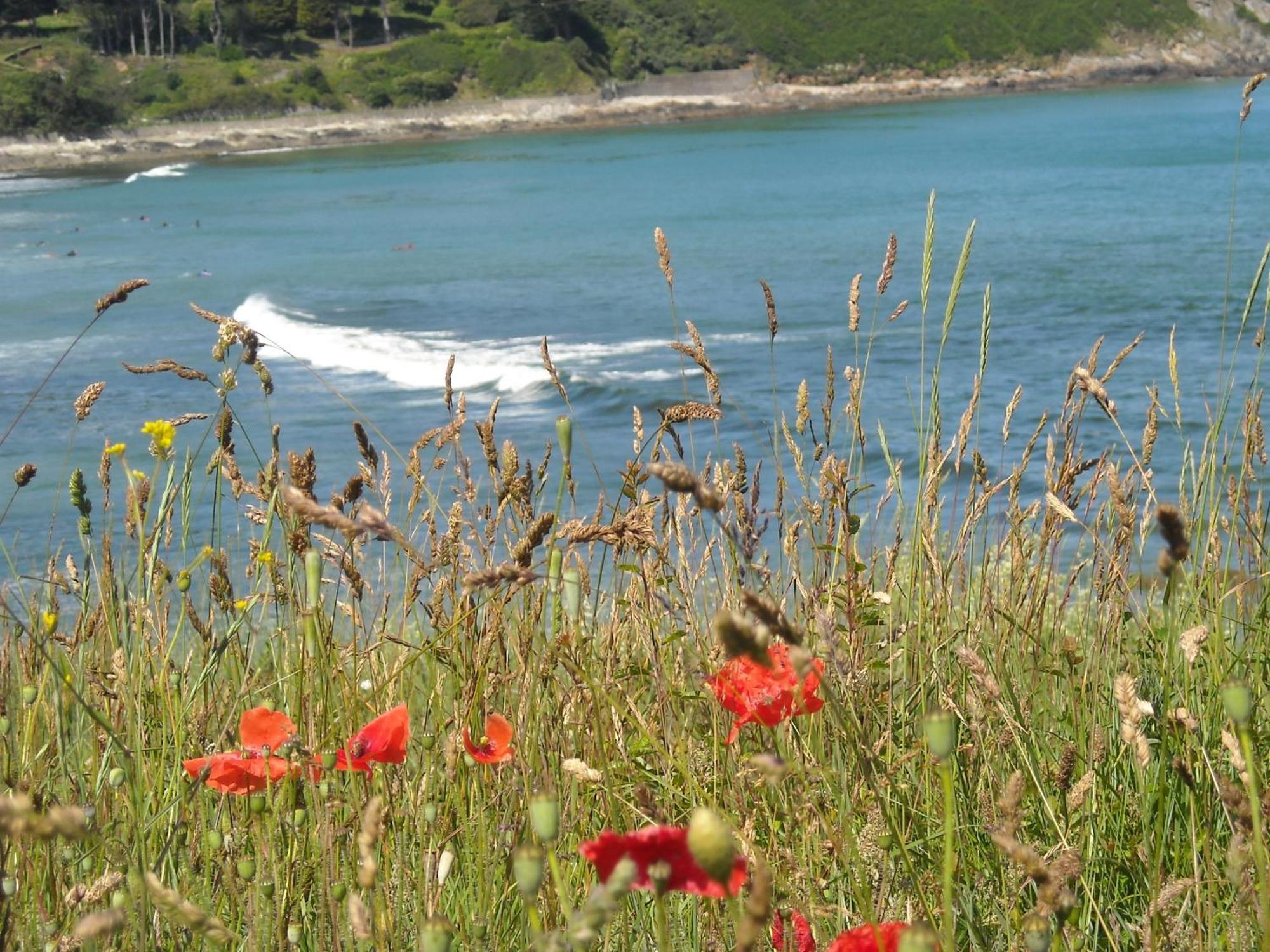 L'Escale Evel Er Ger Bed and Breakfast Locquirec Buitenkant foto