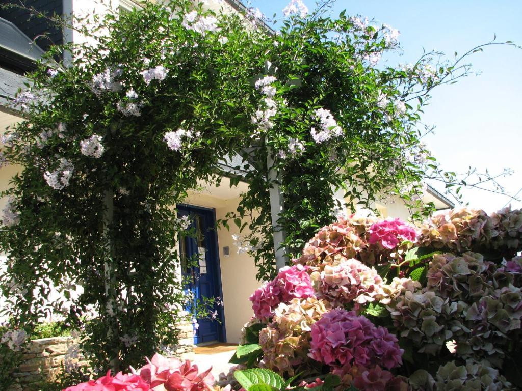 L'Escale Evel Er Ger Bed and Breakfast Locquirec Buitenkant foto